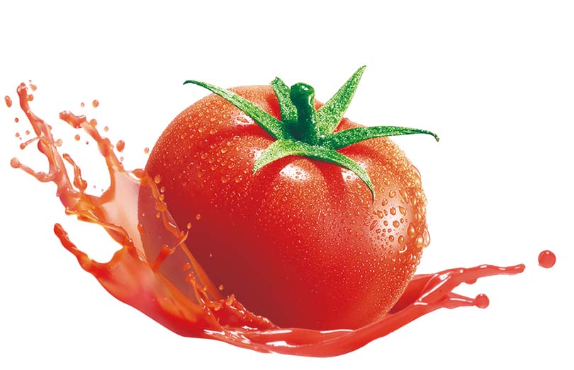 best tomato sauce manufacturer